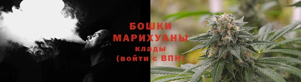 шишки Бугульма
