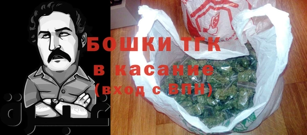 ПСИЛОЦИБИНОВЫЕ ГРИБЫ Бородино