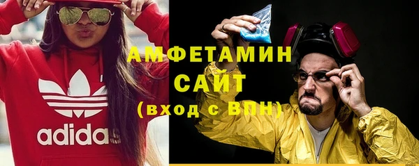 ПСИЛОЦИБИНОВЫЕ ГРИБЫ Бородино
