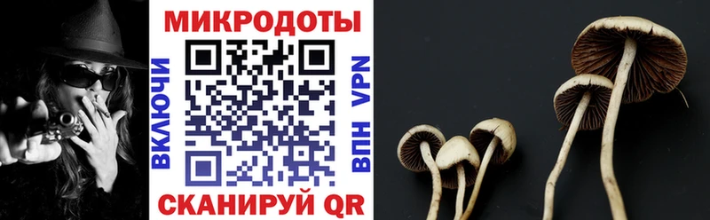 кракен как зайти  Суворов  Галлюциногенные грибы прущие грибы  купить  